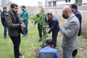 Tree planting ceremony at Babol Noshirvani University of Technology