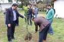 Tree planting ceremony at Babol Noshirvani University of Technology