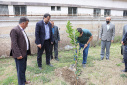 Tree planting ceremony at Babol Noshirvani University of Technology