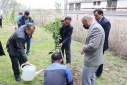 Tree planting ceremony at Babol Noshirvani University of Technology