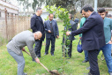 Tree planting ceremony at Babol Noshirvani University of Technology