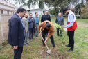 Tree planting ceremony at Babol Noshirvani University of Technology