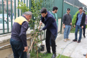 Tree planting ceremony at Babol Noshirvani University of Technology