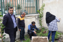 Tree planting ceremony at Babol Noshirvani University of Technology