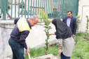 Tree planting ceremony at Babol Noshirvani University of Technology