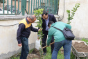 Tree planting ceremony at Babol Noshirvani University of Technology