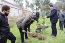 Tree planting ceremony at Babol Noshirvani University of Technology