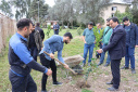 Tree planting ceremony at Babol Noshirvani University of Technology