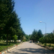 Total area on Campus covered in planted vegetation