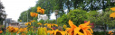 Total area on Campus covered in planted vegetation