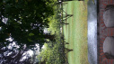 Total area on Campus covered in planted vegetation