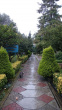 Total area on Campus covered in planted vegetation