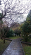 Total area on Campus covered in planted vegetation