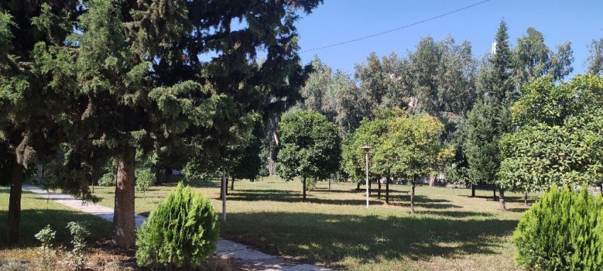 Total Area on Campus Covered in Forest Vegetation