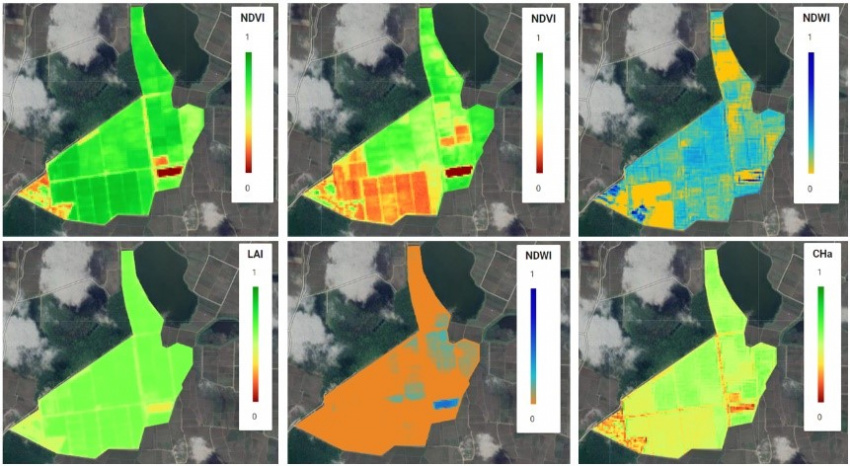 Estimating the area under cultivation using time series of remote sensing data and artificial intelligence at national level, and at regional and international level